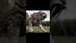 2023 Smilodon tiger  V/s 5000 bce Smilodon tiger mythical biology #shortvideo #viral