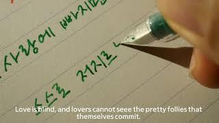 shakespeare with ASMR fountain pens | Writing| Fountain pen asmr | Handwriting