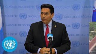 Israel on Lebanon - Security Council Media Stakeout | United Nations