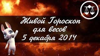 Зайка Zoobe - гороскоп для ВЕСОВ  на 5 декабря