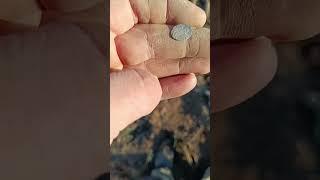 Чешуя #1million #metaldetecting #deus Михаил Федорович