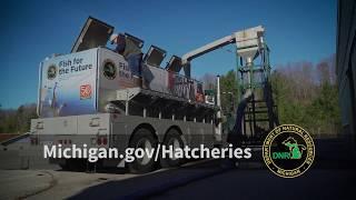 Michigan DNR Fish Hatcheries