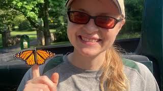 Forecasting the future to protect monarchs with the Zipkin Lab at Michigan State University