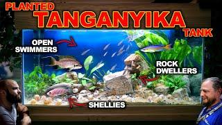 Building A Planted Tanganyika Tank: EPIC  3ft Aquascape Tutorial