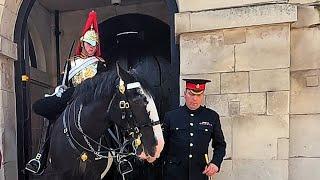 Did You Know? CoH Retires After Many Years at Horse Guards - "Our favourite one!"