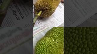 jackfruit cutting