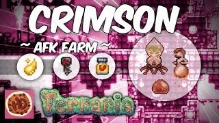 Terraria Crimson Key Farm | 1.3 AFK Farm | Ichor | Mimic | Vitamins