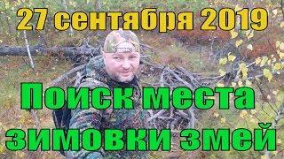 Поиск места зимовки змей. #ПВД