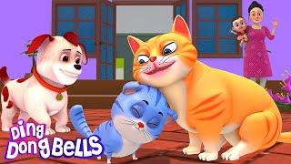 म्याऊं म्याऊं बिल्ली करती  | Meow Meow Billi Karti v5 | Hindi Rhymes for Children | Ding Dong Bells