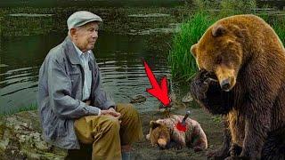 The crying bear brought the dying bear cub to the fisherman. Seconds were counting!