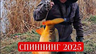 ТРОФЕЙНАЯ РЫБА на СПИННИНГ ЯНВАРЬ 2025_BIG-FISH #fishing #carpfishing #рыбалка2025