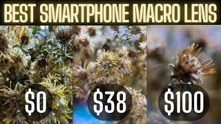 Best Smartphone Macro Lens - iPhone 13 Pro Max Macro Mode vs Apexel Macro Lens vs Moment Macro Lens