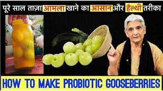 Probiotic Amla / how to preserve Amla/ salted gooseberries/ Amla recipe