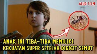 Anak Culun Ini Tiba2 Memiliki Keku4tan Sup3r Dan Menjadi Idola Baru | Alur Film Antb0y (2013)