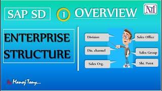 SAP SD Enterprise Structure - Overview  [ PART -1 ]