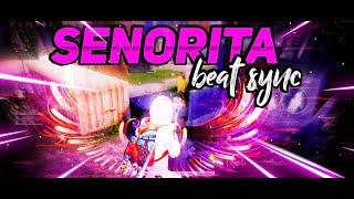 BGMI BEST EDITED MONTAGE | SENORITA