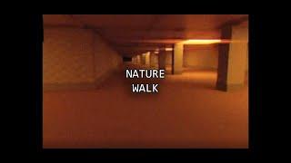 Nature Walk - The Backrooms