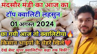 01 August 2024 मंदसौर मंडी की सुपर टॉप क्वालिटी लहसुन का भाव | Best Quality Garlic | Lahsun Ka Bhav