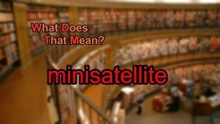 What does minisatellite mean?