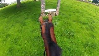 XC Thrills and Spills - Crown Farm - Helmet Cam