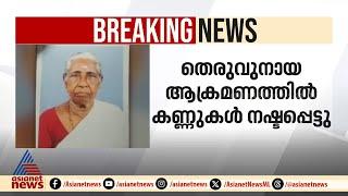 അന്ത്യമില്ലാത്ത തെരുവുനായ ആക്രമണം; വയോധികയ്ക്ക് ദാരുണാന്ത്യം | Stray Dog Attack