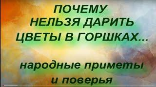 ПОЧЕМУ НЕЛЬЗЯ ДАРИТЬ ЦВЕТЫ В ГОРШКАХ... приметы о цветах. народные приметы и поверья