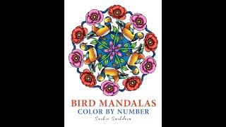 Flip Through Bird Mandalas Color by Number by Sachin Sachdeva