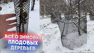 Всё о зимовке плодовых деревьев