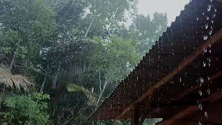 Very Heavy Rain & Thunder on the Roof of an Old Shack, Very Peaceful in Mind | ASMR - Indorain