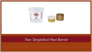 Tree Tanglefoot Pest Barrier - Daring Reviews