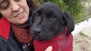 Linda y Boira / Animal Rescue España