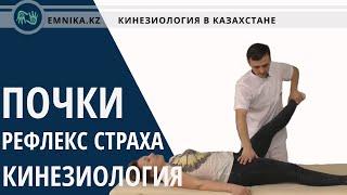 Kinesiology.The Kidneys, The Fear Reflex.Unconventional approach. Treating neurology.