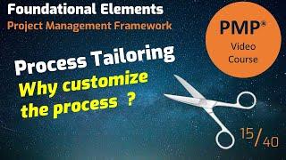 How to customize the project management processes to achieve project success?