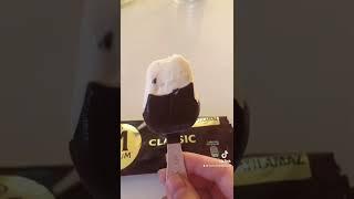 Magnum ice cream