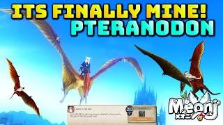 FFXIV: Pteranodon Mount - 500,000 Skybuilder Points on EVERYTHING!