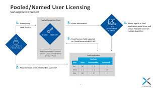 Flexera SaaS Monetization