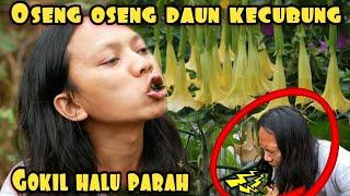 EXPERIMENT GORENG KEMBANG TEROMPET | KECUBUNG