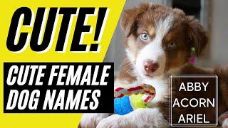 Top 40 Unique FEMALE Dog Names - Girl Dog Names