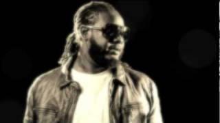 (NEW 2010)T-pain-Black and Yellow (T-Mix)