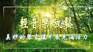 美妙的聲音讓早晨充滿活力️ 鋼琴音樂和鳥鳴對於緩解壓力非常有效， 每天調心洗滌心性，輕音樂 放鬆