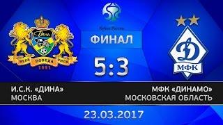 Кубок России. Финал. Дина - Динамо. 5:3