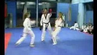 Taekwondo klub Partizan