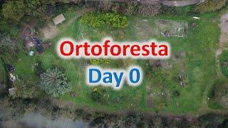 Ortoforesta: Two months before starting (November 2022)