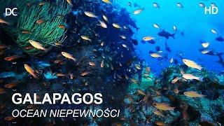 GALAPAGOS - Na Krańcu Świata | Ocean Niepewności | Film Dokumentalno-Przyrodniczy | Polski Lektor