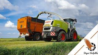 2021 ● Gras hakselen ● Claas Jaguar 940 + New Holland T7.230 & T7.200 ● loonwerken Mark Loontjens