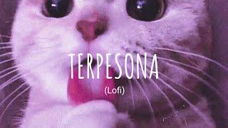 [Vietsub + Lyric] Terpesona (lofi) - Bulan, Gustixa | Music Tik Tok