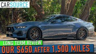 Living With A 2024 Mustang GT: Mustang Week Road Trip Experience #s650