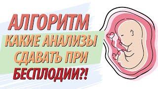 Какие анализы сдавать при бесплодии? ЧЕТКИЕ ИНСТРУКЦИИ