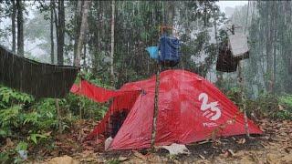 BERPETUALANG JAUH KE DALAM HUTAN BERBURU CUCAK IJO CAMPING DI GUYUR HUJAN BADAI Part 1