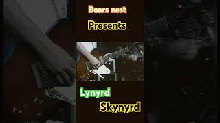 Boars nest: Lynyrd Skynyrd #70s #lynyrdskynyrd #lynardskynard #dukesofhazzard